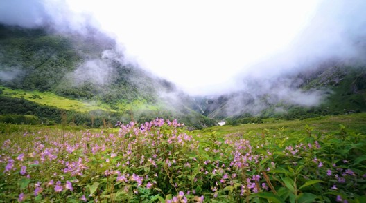 花の谷国立公園