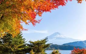Autumn Mount Fuji